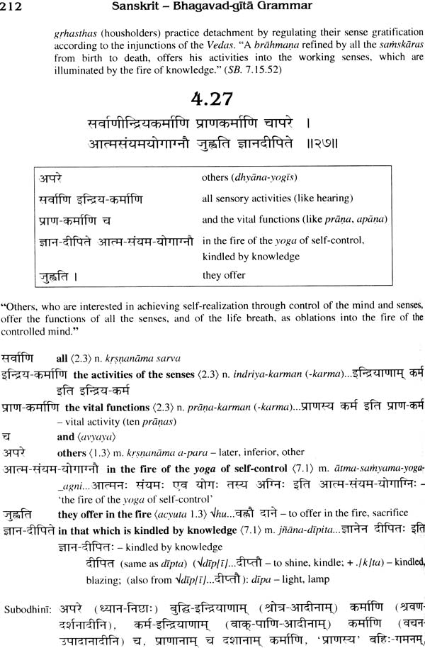 Sanskrit Bhagavad Gita Grammar (Set of 3 Volumes) - Retail Maharaj