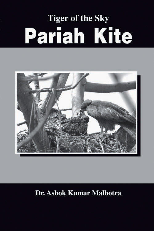 Tiger of the Sky : Pariah Kite - Retail Maharaj