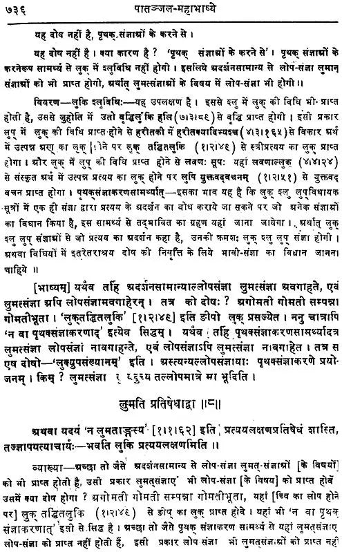 Mahabhashya With Explanation In Hindi (Vol-1: Part-2) - Retail Maharaj