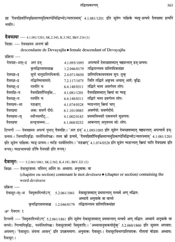 Paninian Grammar Through its Examples (The Book of Secondary Derivatives)- (IV-I Volume) - Retail Maharaj