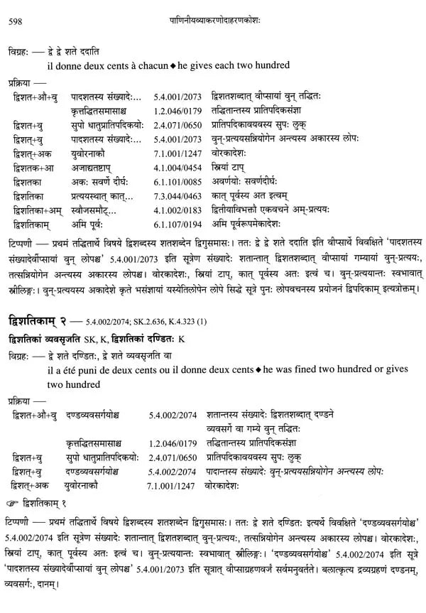 Paninian Grammar Through its Examples (The Book of Secondary Derivatives)- (IV-I Volume) - Retail Maharaj
