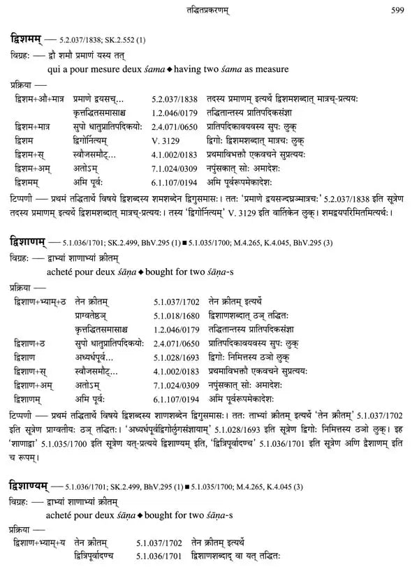Paninian Grammar Through its Examples (The Book of Secondary Derivatives)- (IV-I Volume) - Retail Maharaj