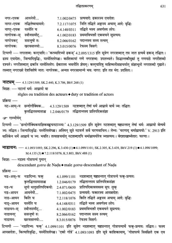 Paninian Grammar Through its Examples (The Book of Secondary Derivatives)- (IV-I Volume) - Retail Maharaj