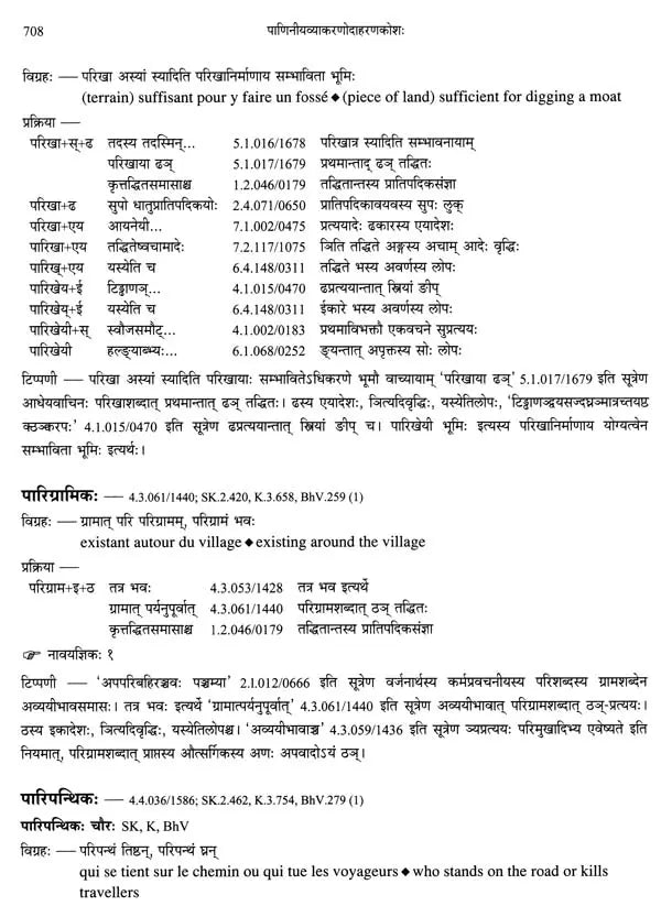 Paninian Grammar Through its Examples (The Book of Secondary Derivatives)- (IV-I Volume) - Retail Maharaj