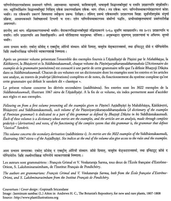 Paninian Grammar Through its Examples (The Book of Secondary Derivatives)- (IV-I Volume) - Retail Maharaj