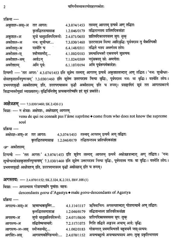 Paninian Grammar Through its Examples (The Book of Secondary Derivatives)- (IV-I Volume) - Retail Maharaj