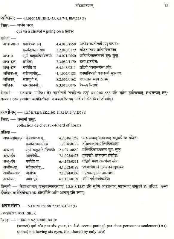 Paninian Grammar Through its Examples (The Book of Secondary Derivatives)- (IV-I Volume) - Retail Maharaj