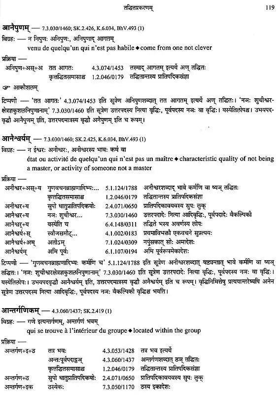 Paninian Grammar Through its Examples (The Book of Secondary Derivatives)- (IV-I Volume) - Retail Maharaj