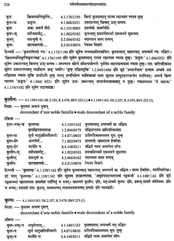 Paninian Grammar Through its Examples (The Book of Secondary Derivatives)- (IV-I Volume) - Retail Maharaj