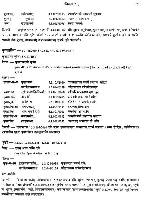 Paninian Grammar Through its Examples (The Book of Secondary Derivatives)- (IV-I Volume) - Retail Maharaj