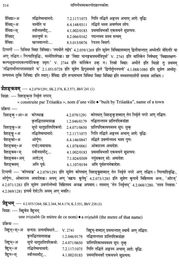 Paninian Grammar Through its Examples (The Book of Secondary Derivatives)- (IV-I Volume) - Retail Maharaj