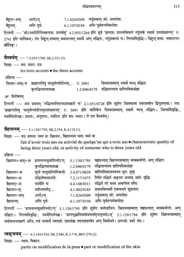 Paninian Grammar Through its Examples (The Book of Secondary Derivatives)- (IV-I Volume) - Retail Maharaj