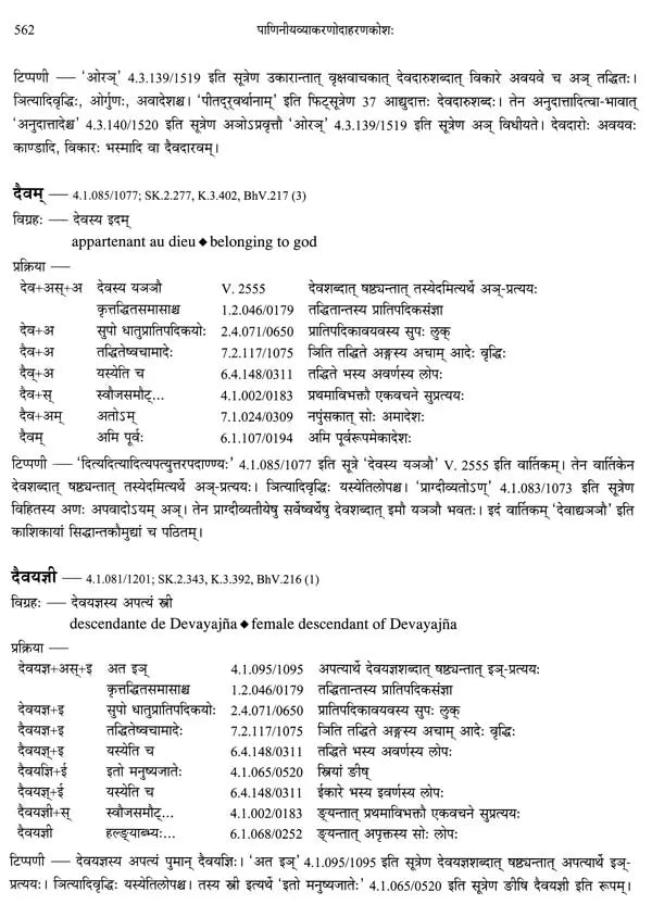 Paninian Grammar Through its Examples (The Book of Secondary Derivatives)- (IV-I Volume) - Retail Maharaj