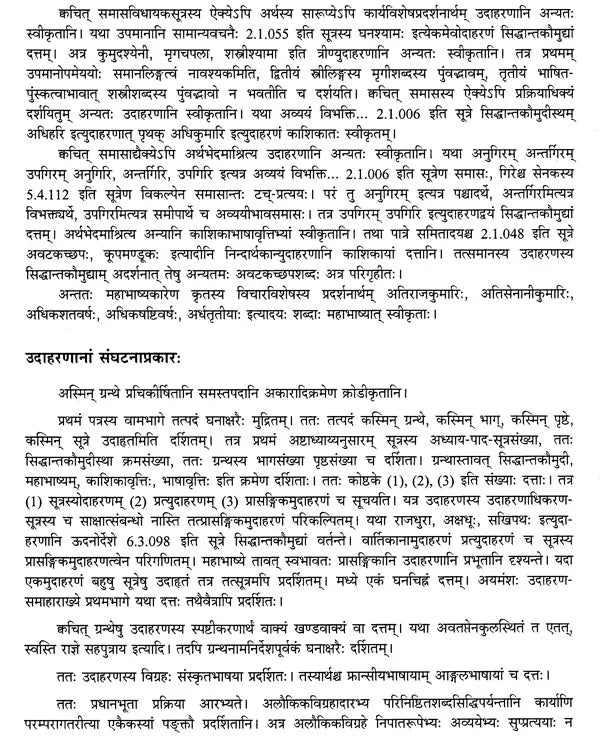 Paninian Grammar Through its Examples The Book of Secondary Derivatives Vol II - Retail Maharaj