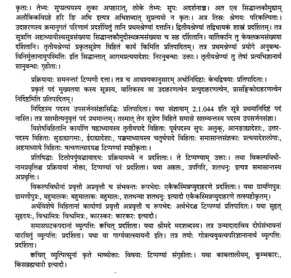 Paninian Grammar Through its Examples The Book of Secondary Derivatives Vol II - Retail Maharaj