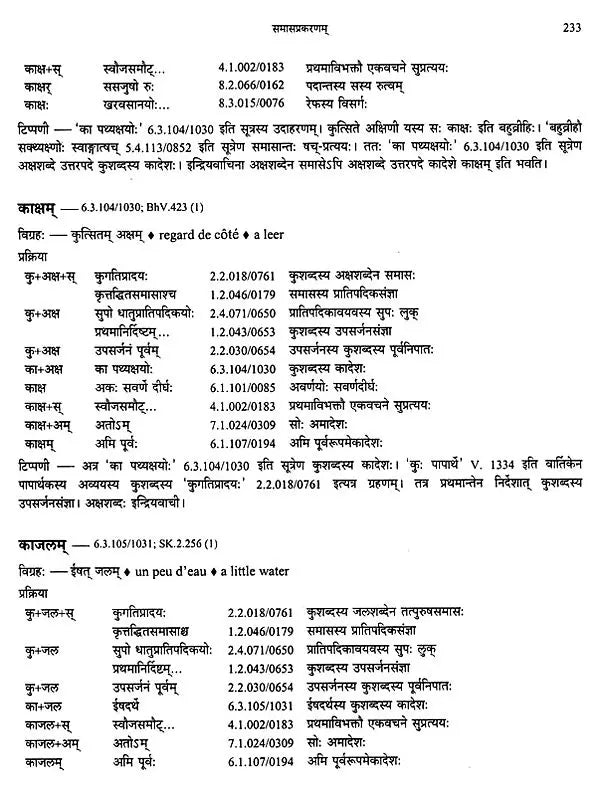 Paninian Grammar Through its Examples The Book of Secondary Derivatives Vol II - Retail Maharaj
