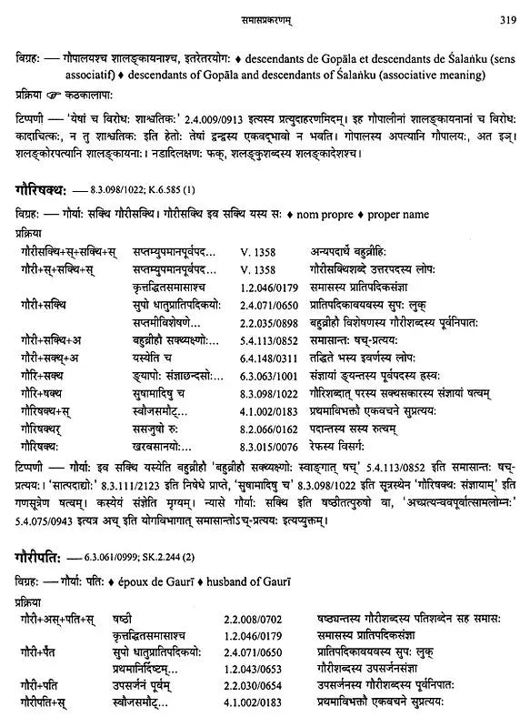 Paninian Grammar Through its Examples The Book of Secondary Derivatives Vol II - Retail Maharaj