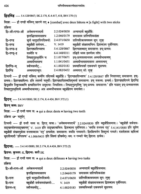 Paninian Grammar Through its Examples The Book of Secondary Derivatives Vol II - Retail Maharaj