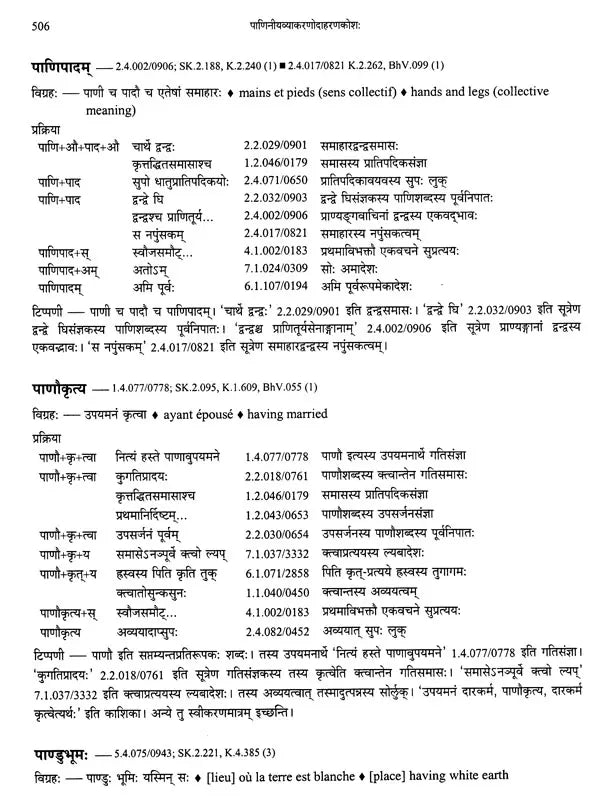 Paninian Grammar Through its Examples The Book of Secondary Derivatives Vol II - Retail Maharaj