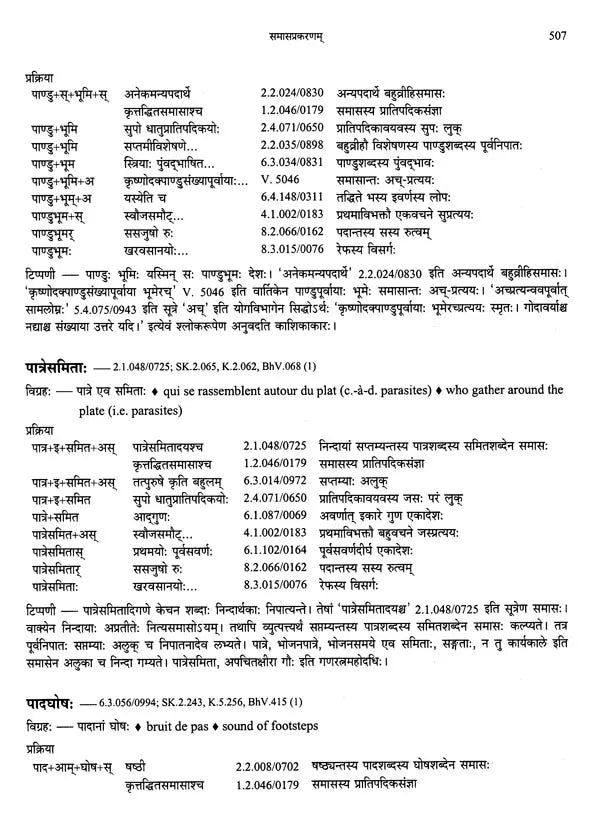 Paninian Grammar Through its Examples The Book of Secondary Derivatives Vol II - Retail Maharaj