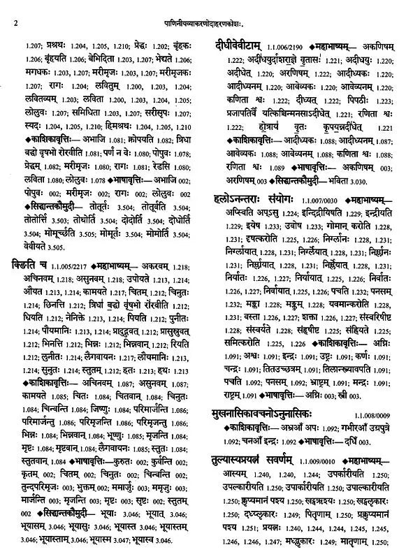 Paninian Grammar Through its Examples (The Book of Secondary Derivatives) - Vol- I.II - Retail Maharaj