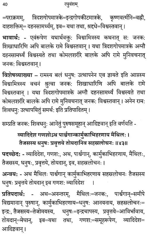Raghuvamsam: Padaccheda Anvaya Pratipadartha Bhavartha Visesavyakhyasamullasitam (Volume 2) - Retail Maharaj