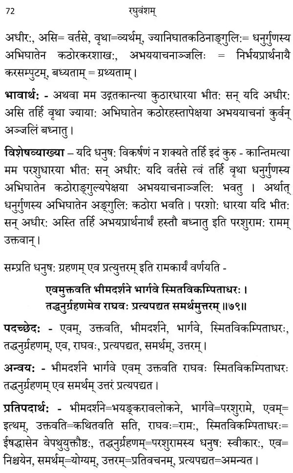 Raghuvamsam: Padaccheda Anvaya Pratipadartha Bhavartha Visesavyakhyasamullasitam (Volume 2) - Retail Maharaj