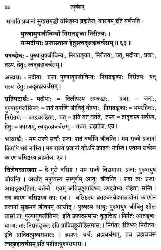 Raghuvamsam: Padaccheda Anvaya Pratipadartha Bhavartha Visesavyakhyasamullasitam (Set of 2 Volumes) - Retail Maharaj