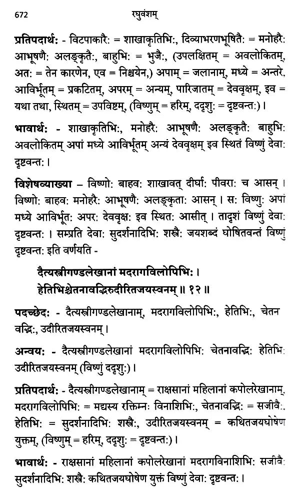 Raghuvamsam: Padaccheda Anvaya Pratipadartha Bhavartha Visesavyakhyasamullasitam (Set of 2 Volumes) - Retail Maharaj