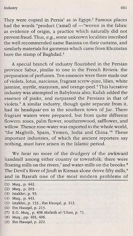 The Renaissance of Islam: Translated from the German of Adam Mez - Retail Maharaj