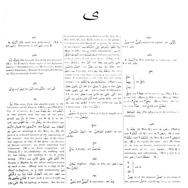 Arabic English Lexicon- Dictionary (Set of 2 Volumes) - Retail Maharaj