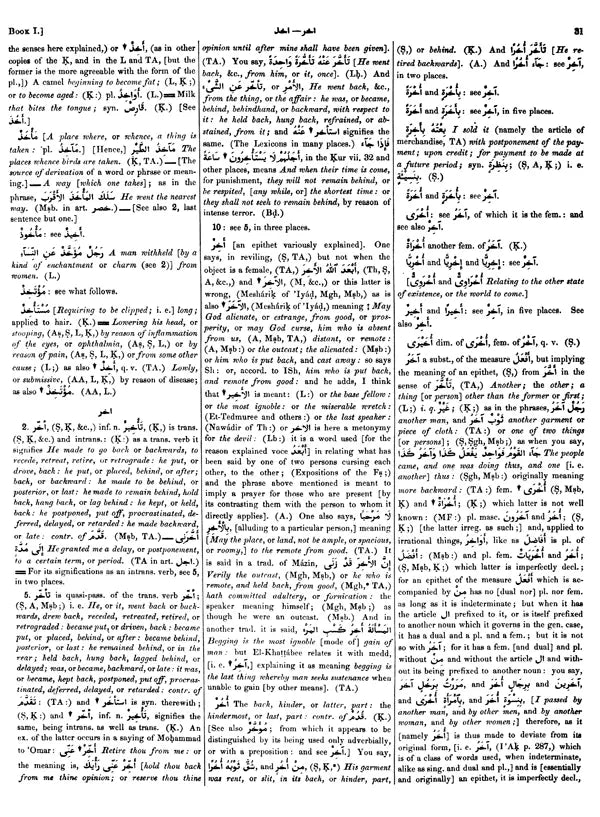 Arabic English Lexicon- Dictionary (Set of 2 Volumes) - Retail Maharaj