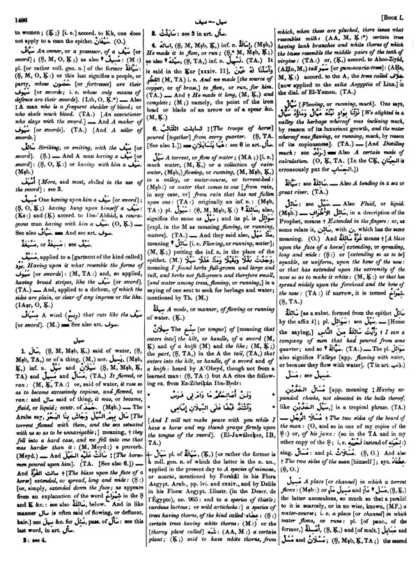 Arabic English Lexicon- Dictionary (Set of 2 Volumes) - Retail Maharaj