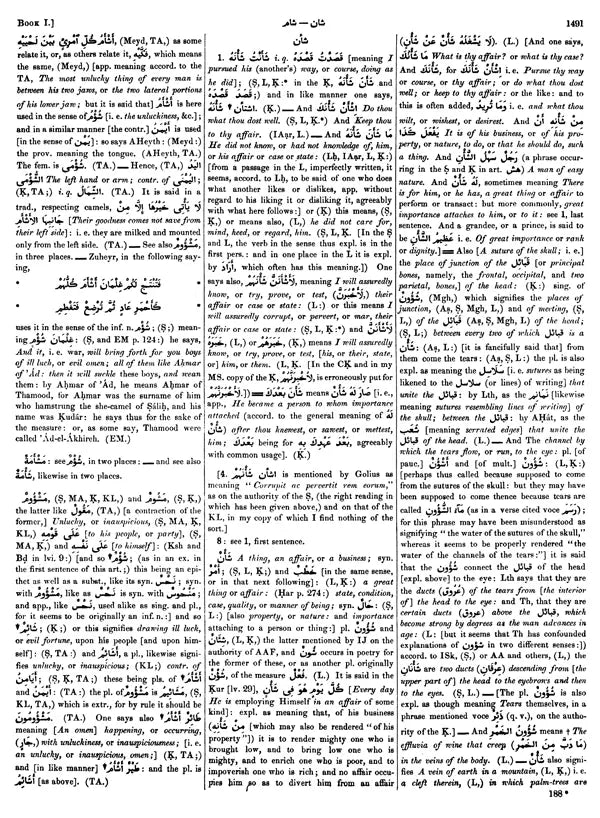 Arabic English Lexicon- Dictionary (Set of 2 Volumes) - Retail Maharaj