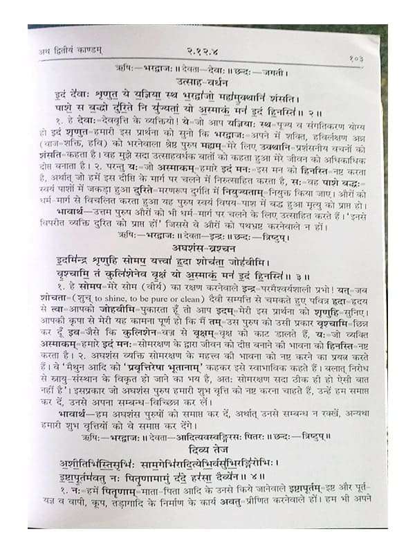 अथर्ववेदभाष्यम् Atharvavedbhashyam (set of 3 Vol.) - Retail Maharaj