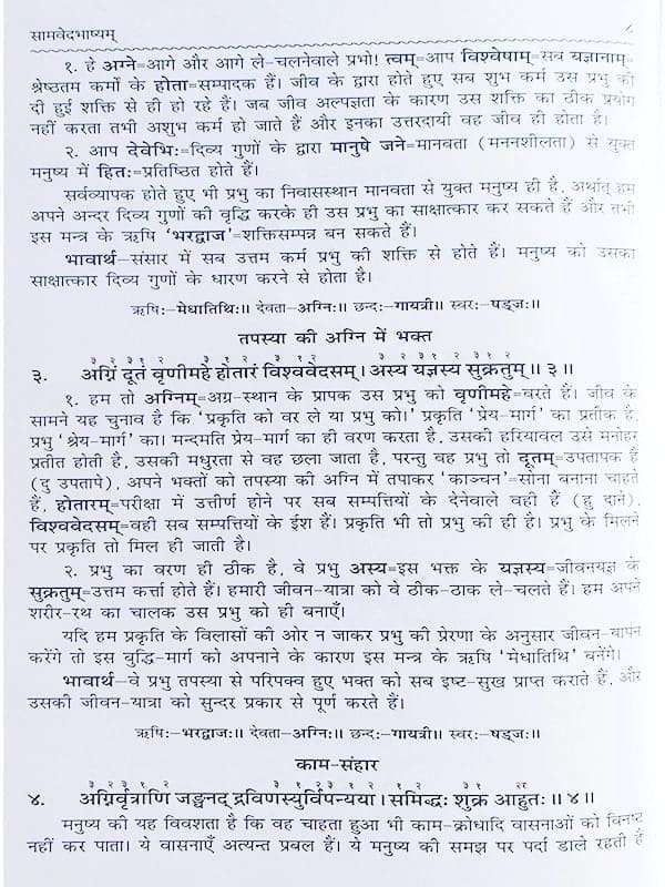 सामवेदभाष्यम् Samvedbhashyam (set of 2 Vol.) - Retail Maharaj