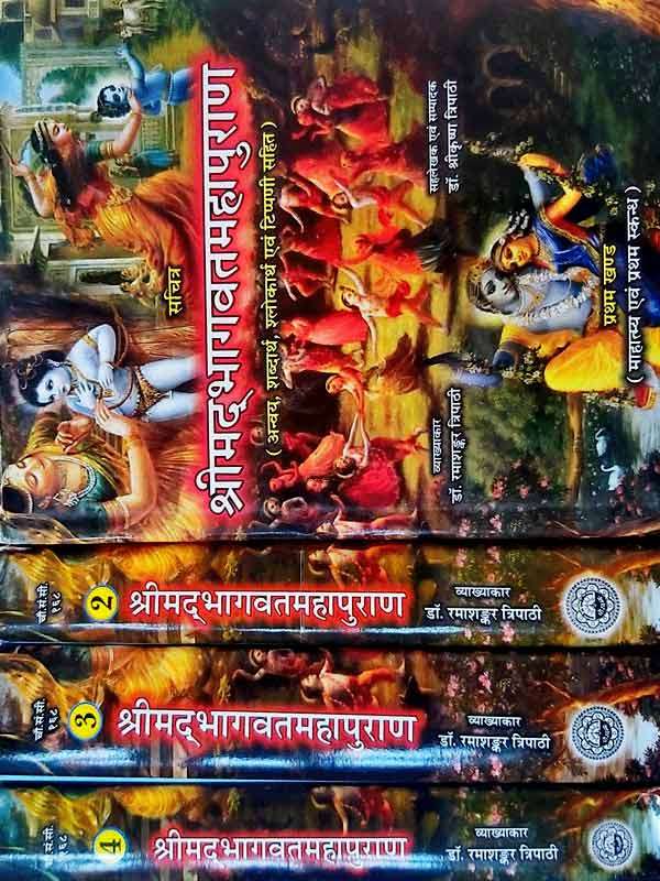 श्रीमद्भागवत महापुराण Srimad Bhagwat Mahapuran (5 vol.) - Retail Maharaj