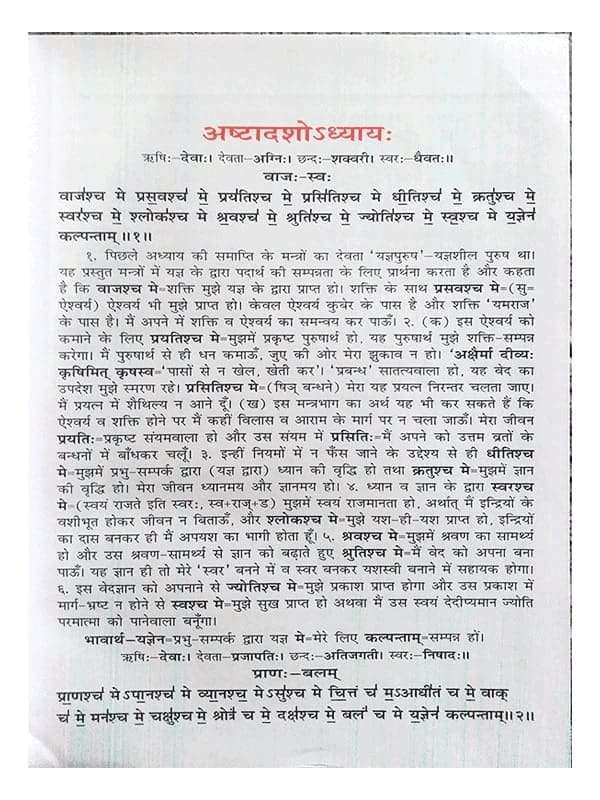 यजुर्वेदभाष्यम् Yajurvedbhashyam (set of 2 Vol.) - Retail Maharaj