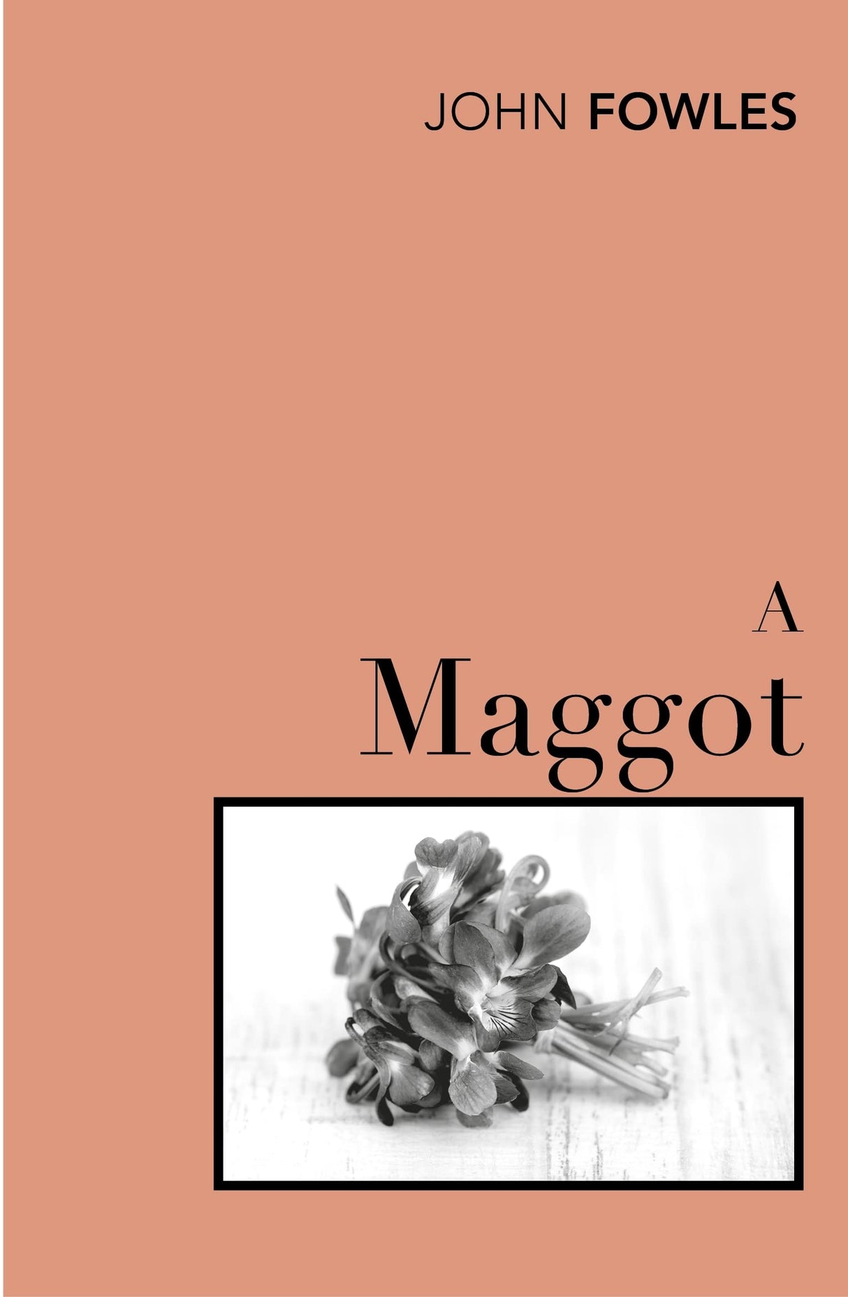 A Maggot - Retail Maharaj