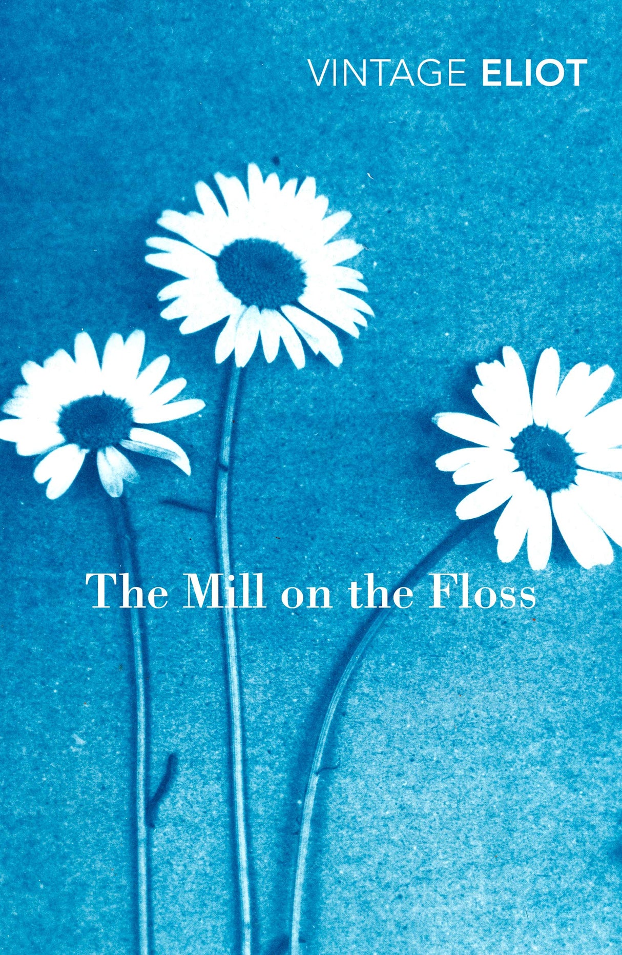 Mill on the Floss, The (Vintage Classics) - Retail Maharaj