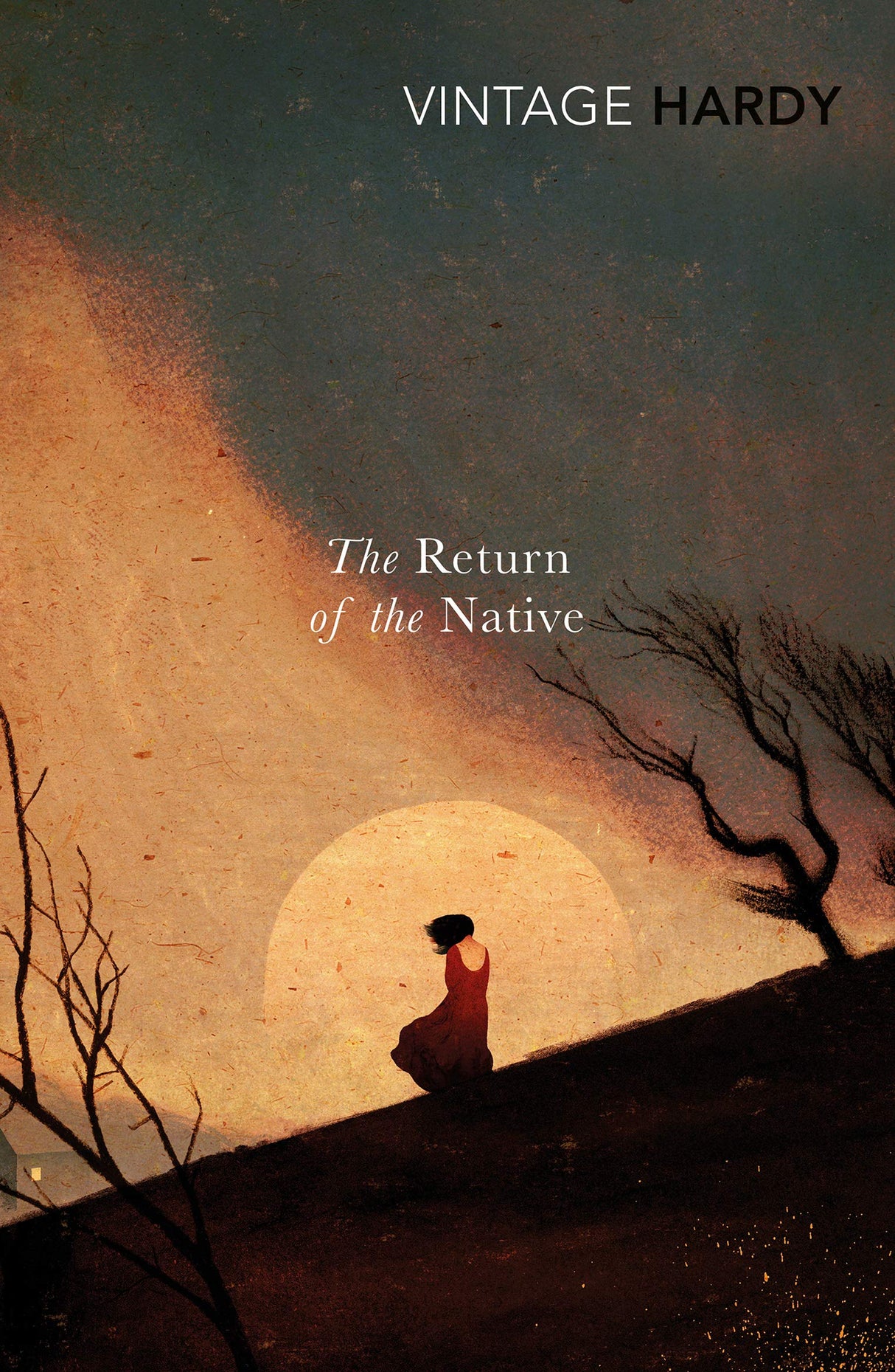 Return of the Native - Retail Maharaj
