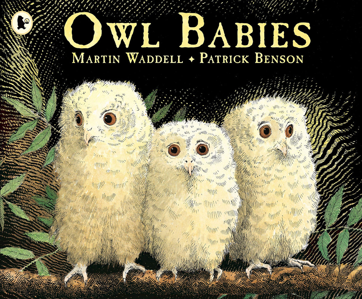 Owl Babies - Retail Maharaj
