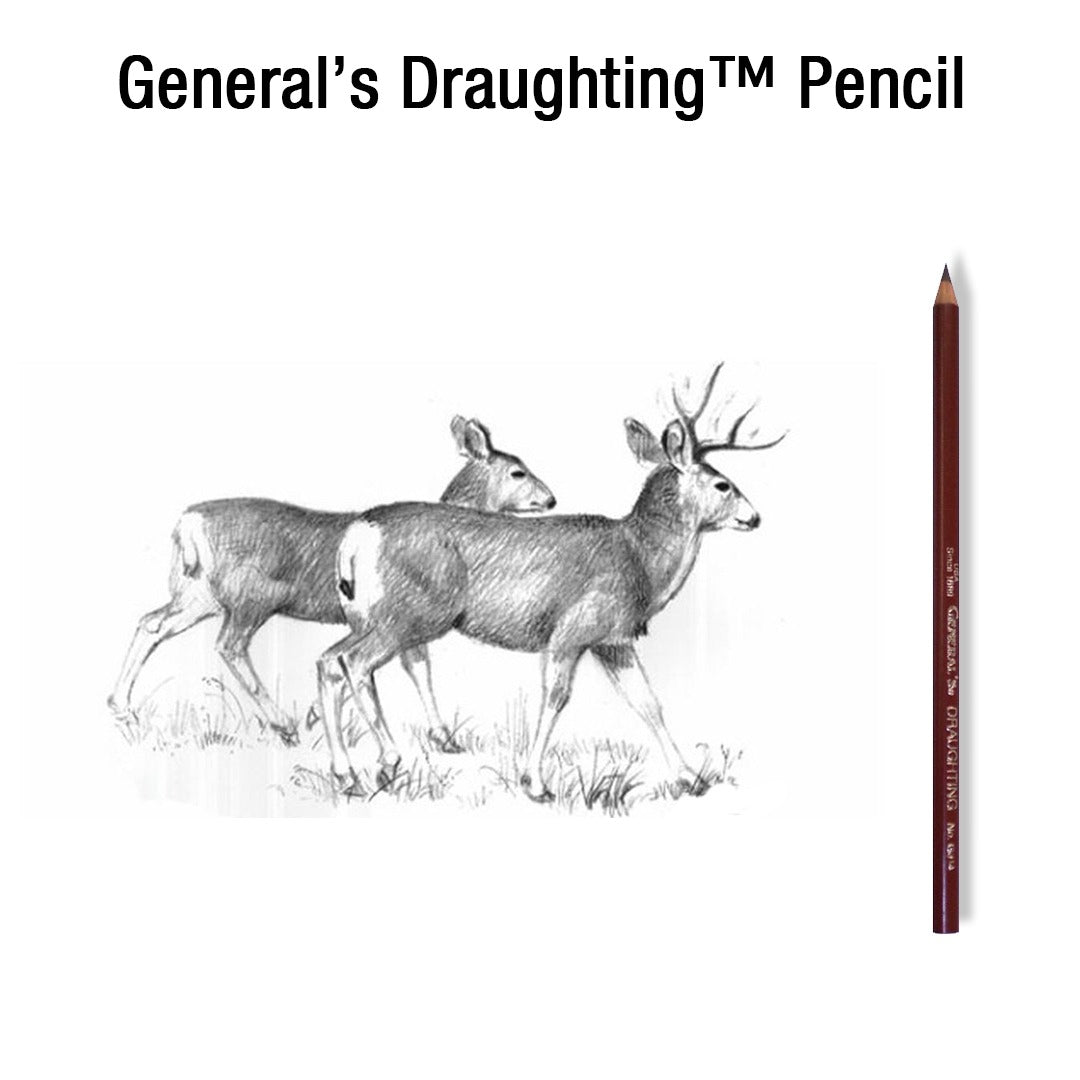 General’s Draughting Pencil - Retail Maharaj