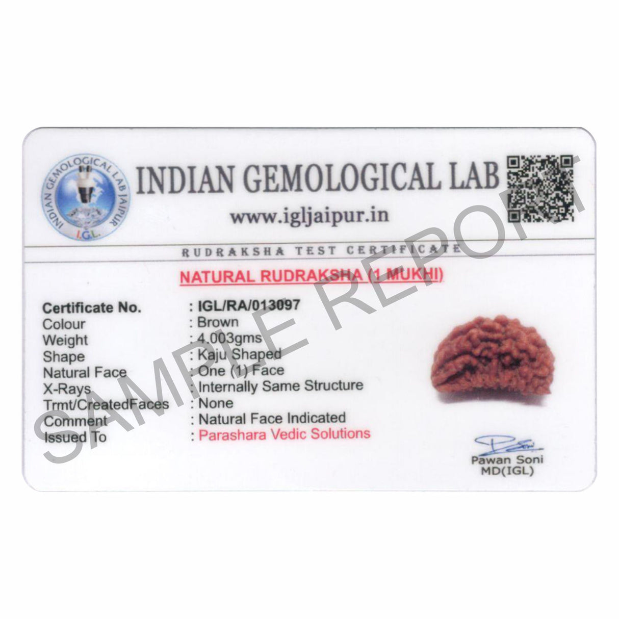 ARKAM One Mukhi Rudraksha Certified Kaju Dana/ Original 1 Mukhi Rudraksh Kaju Dana/ Natural 1 faced Half-moon Rudraksha (Brown) with Certificate and Puja Instructions - Retail Maharaj