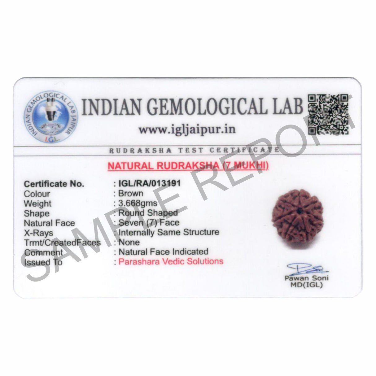 ARKAM Seven Mukhi Rudraksha Certified/ Original Nepali 7 Mukhi Rudraksh/ Natural 7 faced Rudraksha (Brown) with Certificate and Puja Instructions - Retail Maharaj