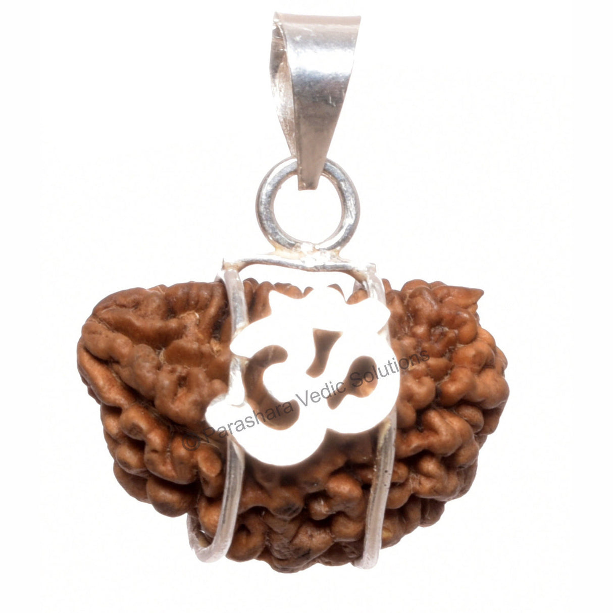 ARKAM One Mukhi Rudraksha Certified Kaju Dana/ Original 1 Mukhi Rudraksh Kaju Dana/ Natural 1 faced Rudraksha with Silver Pendant (Brown) with Certificate and Puja Instructions - Retail Maharaj