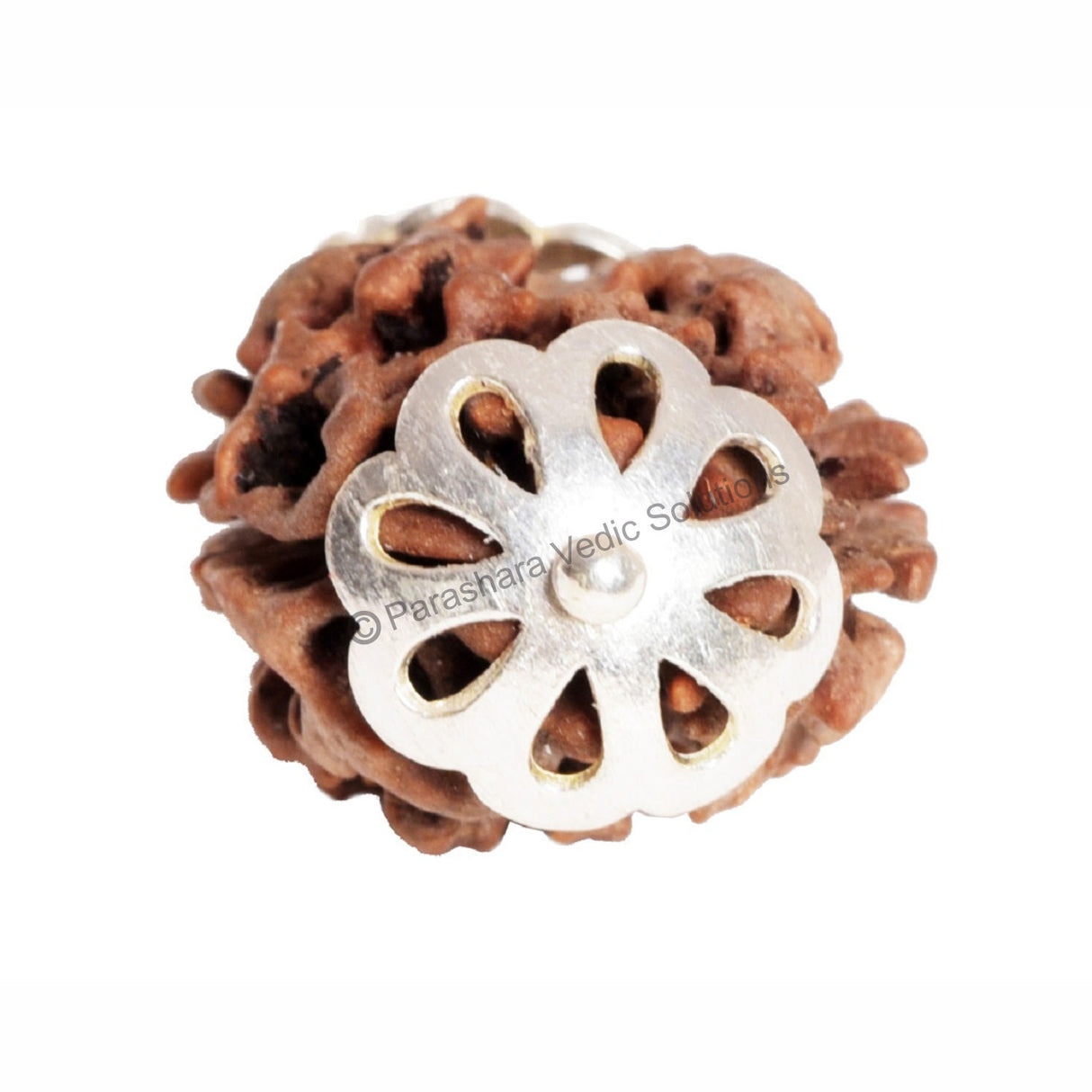 ARKAM Two Mukhi Oval Rudraksha Certified/ Original 2 Mukhi Rudraksh/ Natural 2 faced Rudraksha with Silver Pendant (Brown) with Certificate and Puja Instructions - Retail Maharaj