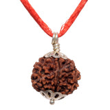 ARKAM Seven Mukhi Rudraksha Certified/ Original Nepali 7 Mukhi Rudraksh/ Natural 7 faced Rudraksha with Silver Pendant (Brown) with Certificate and Puja Instructions - Retail Maharaj