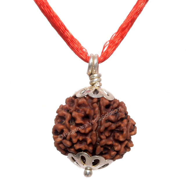 ARKAM Seven Mukhi Rudraksha Certified/ Original Nepali 7 Mukhi Rudraksh/ Natural 7 faced Rudraksha with Silver Pendant (Brown) with Certificate and Puja Instructions - Retail Maharaj