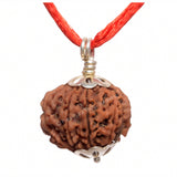 ARKAM Nine Mukhi Rudraksha Certified/ Original Nepali 9 Mukhi Rudraksh/ Natural 9 faced Rudraksha with Silver Pendant (Brown) with Certificate and Puja Instructions - Retail Maharaj